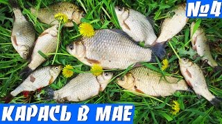 Ловля карася весной на удочку (карась на поплавок)