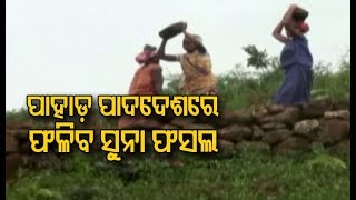 Villagers Innovative Approach To Stop Hillside Erosion & Irrigate Their Land In Koraput