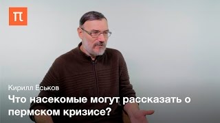 Палеоэнтомологические исследования пермо-триасового вымирания Еськов Кирилл