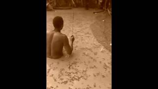 Peixe elétrico destrói pescaria