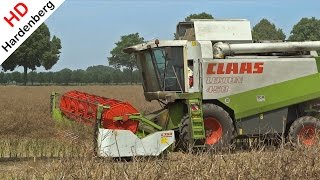 Claas Lexion 450 | Rapsernte | Koolzaad dorsen | Kalkar | Germany.