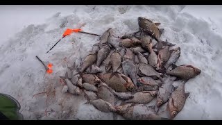 Ловля леща на водохранилище 2019.Теория и практика успешного результата.