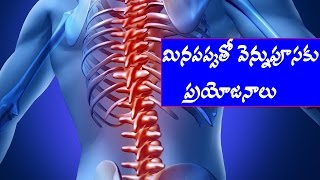 Healthy And Nutritious Tips: Health Benefits of Urad Dal | Urad Dal is good for your health } Telugu