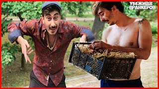 КАХА И СЕРГО НОВАЯ ПОДБОРКА ВАЙНОВ ЗА НЕДЕЛЮ |ВИДЕО ИЗ СТОРИС #1
