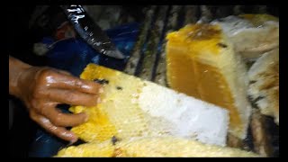 Pencari Madu 'Menuju lokasi Sarang Lebah Madu' (Desa Libur Dinding, Kab. Paser, Kaltim)