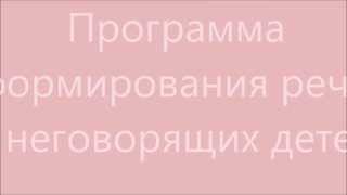 Фрагмент вебинара: Программа формирования речи у неговорящих детей