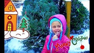 США Покупаем ЕЛКУ/ Влог на рынке/ Наряжаем новогоднюю ёлку/ Рождество и Ноывй Год в Америке