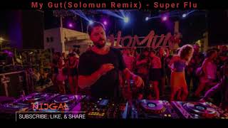 MyGut (Solomun Remix) - Super Flu