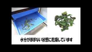 食品乾燥機｜家庭用から業務用まで取り扱っております