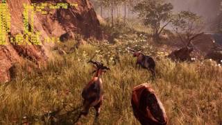 FX 8350 GTX 1070 Far Cry Primal (HD Texture Pack) 2K