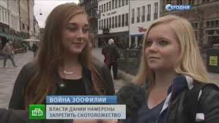 Диктор угорает НТВ "Сегодня" 14/10/2014. Смотреть до конца.