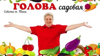 Голова садовая - Как вырастить корнесобственные розы