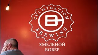 Обзор крафтового пива в пивоварне Culmination. "Хмельной Бобер" #10