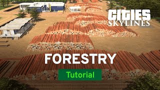 Grow Your Forestry Industry with TheTimeister | Tutorial | Cities: Skylines