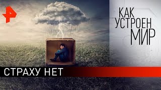 Страху нет. "Как устроен мир" с Тимофеем Баженовым (06.02.20).