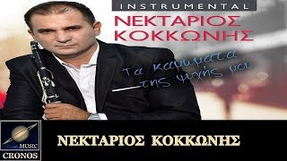 Νεκτάριος Κοκκώνης - Τα καμώματα της ψυχής μου (HD, Music Video)
