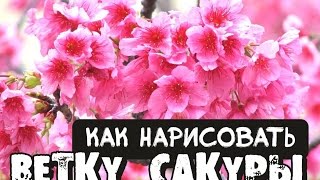 Как нарисовать ветку сакуры? Легкий способ Как нарисовать ветку сакуры