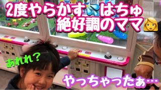 クレーンゲーム！はちゅの必殺ダブルタップ！？ママ絶好調！