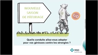 Parasitisme chez les bovins : strongles digestifs et respiratoires