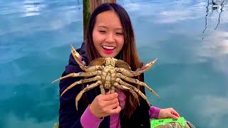 Dungeness Crab - {CATCH AND COOK}: Korean Bean Paste Soup (된장찌개)