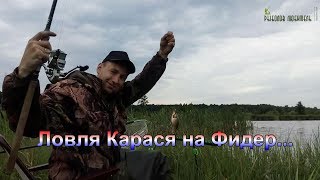 Ловля Карася на Фидер. Беларусь. Часть 1.