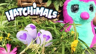 Алёна открывает новые игрушки Яйца сюрпризы Хэтчималс POPSY TOYS