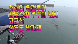 서해안 워킹루어 갑오징어 주꾸미낚시 #선유도기도등대