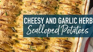 Creamy Scalloped Potatoes