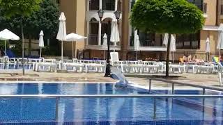 A pool in the courtyard of Apart-Hotel Bendita Mare -  Golden Sands (Bulgaria)
