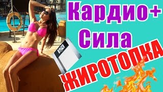 Как Похудеть За Месяц|Жиросжигающая Тренировка Для Похудения|Упражнения Для Дома