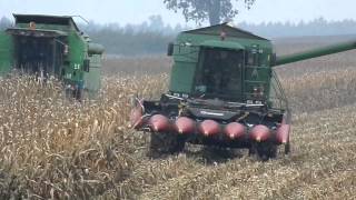 KUKURYDZA NA ZIARNO 2013 ( HD )