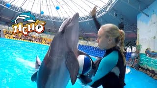 Дельфинарий Немо Киев Dolphinarium Nemo Kiev