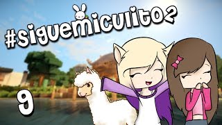 ADOPTAMOS LLAMAS COMO MASCOTAS | #SigueMiCulito 2 | Episodio 9
