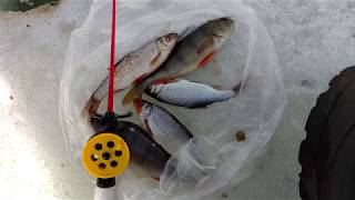 Рыбалка на мормышку. Долонь