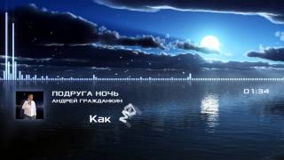 Андрей Гражданкин "Подруга ночь" (караоке версия)