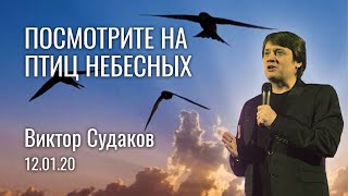 Виктор Судаков — Посмотрите на птиц небесных