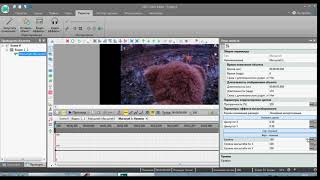 Как сделать чтобы не было черных полос на видео в VS DC Free Video Editor