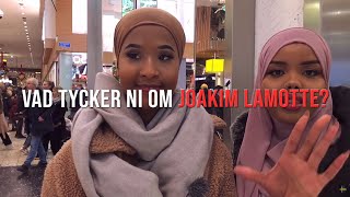 Invandrare tycker till om Joakim Lamotte