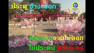 มหกรรมไม้ดอกไม้ประดับ ครั้งที่ 44 - ประตูช้างเผือก เชียงใหม่