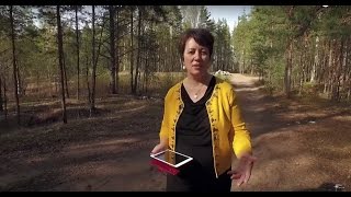 237. Хлеб на каждый день. Плоды сезонов.