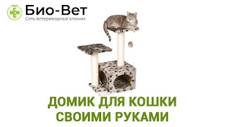 Домик Для Кошки Своими Руками & Виды Домиков Для Кошек. Ветклиника Био-Вет