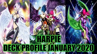 HARPIE DECK PROFILE (JANUARY 2020) YUGIOH!