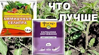 Мочевина или селитра.  В чем различия и что лучше