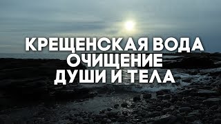 Крещенская вода очищение души и тела ТРАВАРТ 4003 Животворец Андрей Протопопов