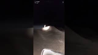 عبودكا عبدالله الجاسر يصور مخلوق غريب بالبر!!