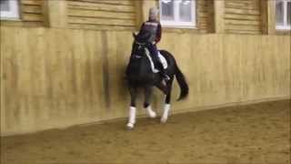 EROS 2009 KWPN