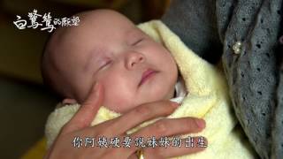 【白鷺鷥的願望 My sister】ep 11