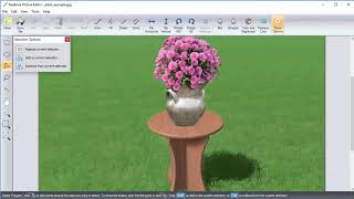 Realtime Landscaping- Background Picture Removal
