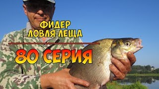 Серия 80. Фидер. Ловля леща. Рыбалка с Нормундом Грабовскисом.