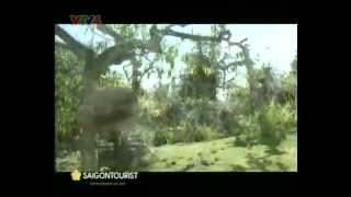 Du lich am thuc Dak Lak - [Vietnam Tour Guide]